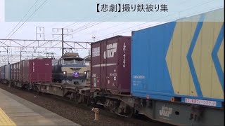 【撮り鉄の悲劇】鉄道かぶり集