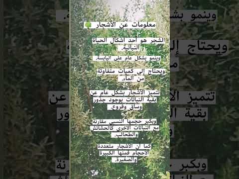 معلومات عن الأشجار