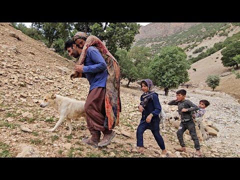 The rescue of a kind woman in the mountains by father and children