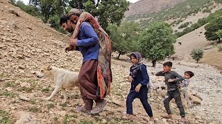 The rescue of a kind woman in the mountains by father and children