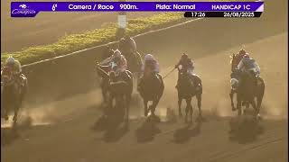 Vidéo de la course PMU LUZ DEL AMANECER