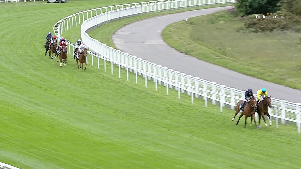 Love: The 2020 Investec Oaks