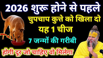 2026 शुरू होने से पहले कुत्ते को खिला दें ये 1 चीज सभी दुःख दर्द होंगे दूर #premanandji 
