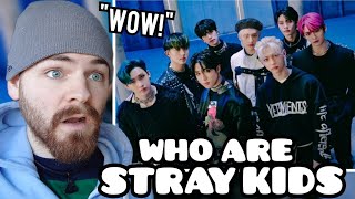 WHO ARE STRAY KIDS | Introduction to Stray Kids Reaction