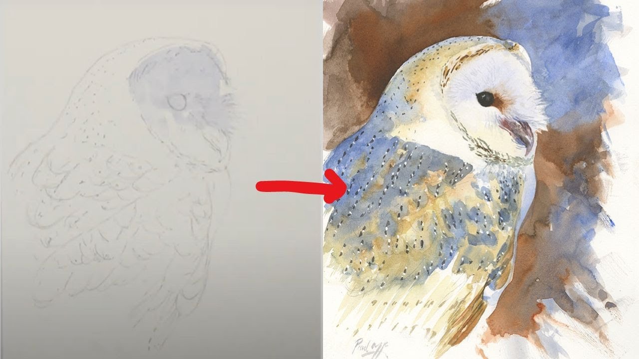 How to Paint Barn Owl in Watercolour