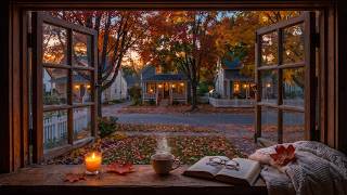 Soft Piano for Relaxing, Study & Sleep | Autumn Afternoon at the Window 🍂 | 11 Hours screenshot 3