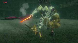 Zelda: Breath of the Wild - Silver Lynel Domination NO DAMAGE