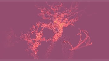 Forest - Max/MSP Patch