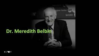 Full Belbin Knowledge Series - Belbin for productivity Update