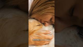 Is your dog psychic? (The science of body language)