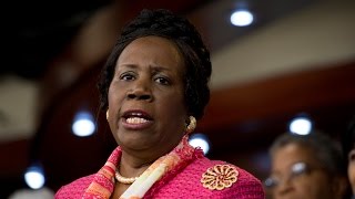 Congresswoman: Democrats 'Rightly' Blocked DHS Funding Bill