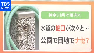 【解説】深まるナゾ？神奈川で次々に消える水道の蛇口。いったい何が？【Nスタ】