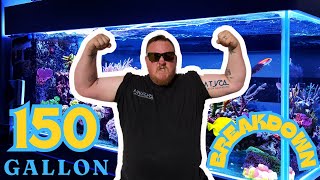 150 GALLON Saltwater Aquarium BREAKDOWN **INSANE**