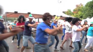 GANGNAM PARODY BARDOLINO WINE STYLE.mp4