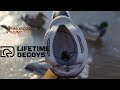 Чучела кряквы Lifetime Decoys уже в России!