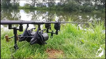 Carp Run COMPILATION 2020! PART 17!