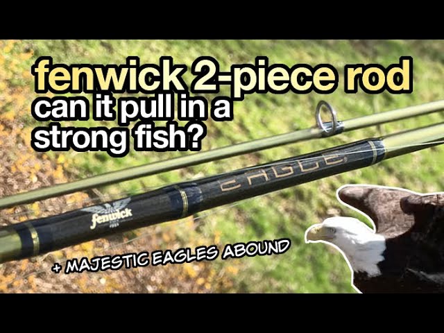 Fenwick Eagle Rods 