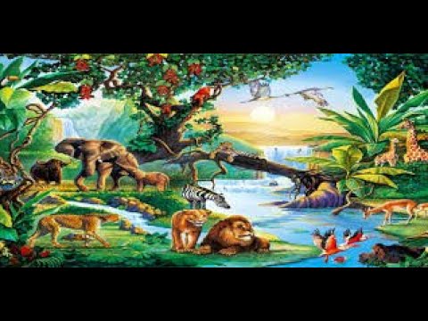 المراجعة النهائية لاولى ثانوى باب التصنيف مستر أحمد مالك 