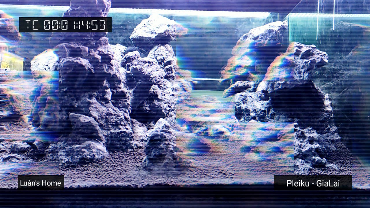 Aquarium rock layout YouTube