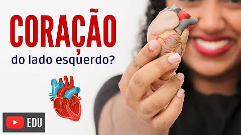 O que tem do lado direito do coração?