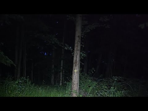 Bigfoot farm claim live night hunt