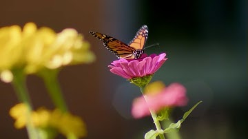 Postcard from Campus: Beautiful Beginnings