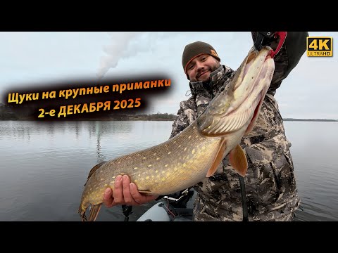 Зимние ТОЛСТЫЕ ЩУКИ любят КРУПНУЮ РЕЗИНУ - Рыбалка в декабре 2025
