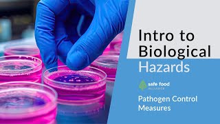 HACCP 101: Biological Pathogen Control Measures | Food Safety Training