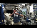 Fuglesang leker med pappersbollar på rymdstationen