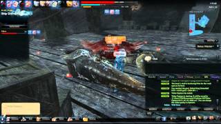 Vindictus EU Ship Graveyard bug