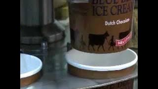 Homemade Ice Cream Appeal (Blue Bell Ice Cream)