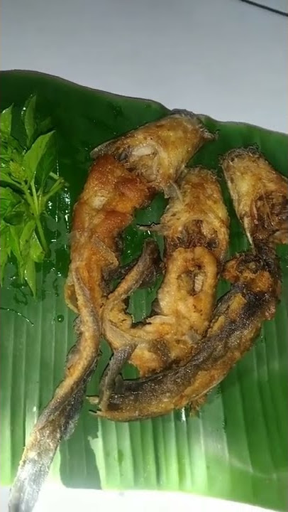 Sambel korek,lele,daun kemangi