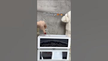 Imagine getting this as a gift 🥹 #diffuser #humidifier #relaxing #fyp