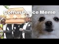 Astronomia  coffin dance meme songdog cover