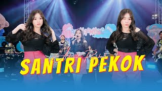 Adinda Rachel - SANTRI PEKOK ( Official Music Video ANEKA SAFARI )