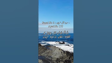 Surat No 3 : سورة آل عمران - Ayat No 175 #islamicsurah #religion #shortvideo #ayat