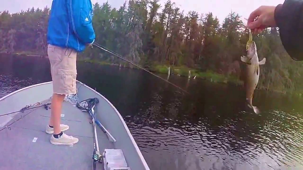 Bass Fishing Scenes from Shoe Lake, Manitoba YouTube