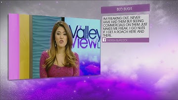 Bed bugs part 2