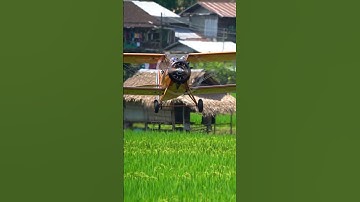 #techno #rave #rave#music #remix #dj #automobile #electronicmusic#gaming#housemusic #jurassicworld