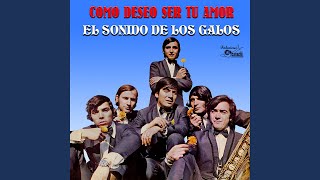 Un Minuto De Tu Amor