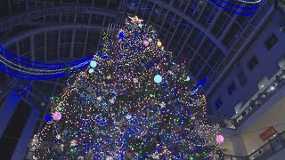 一足早くクリスマス気分 札幌に大型ツリー登場