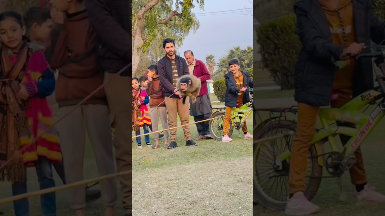 Funny monkey 😝😂🐒