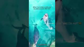 One of the best wildlife Encounters Ecer🐬#ocean #wildlife #dolphin #fyp #foryou