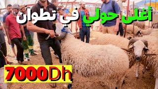 اثمنة نارية أجواء فسوق الماشية تطوان (Gorna) الخير مجود أغلى حولي 7000dh? #عيدالأضحى#تطوان