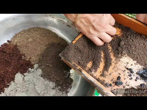 Perfect Potting Soil mix qualities//How to make your own nutrient rich ...