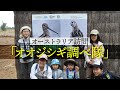 「オオジシギ調べ隊」のこどもたち オーストラリアの調査に参加【日本野鳥の会】