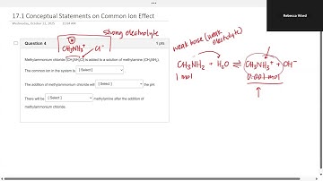 17.1 Common Ion Effect (Conceptual)