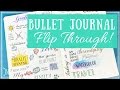 Bullet Journal Flip Through!