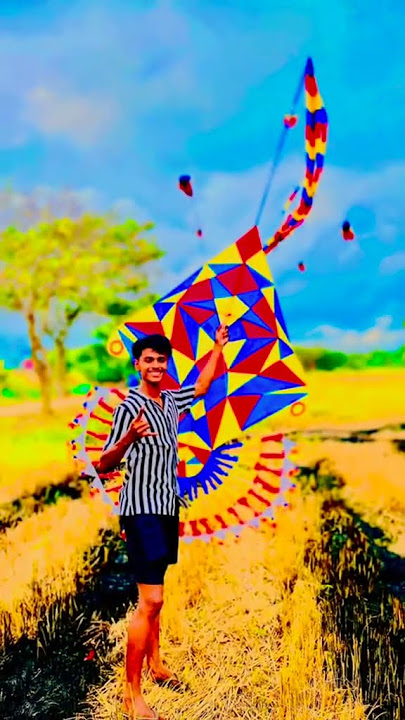#music #dj #electronicmusic #housemusic #edm #kite #lifeisbutadream #kiteflying #whowillbemylife
