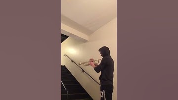 Thumbnail of Star Wars Theme-Trumpet in a stair well